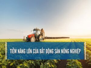 Đầu tư mua bất động sản nông nghiệp